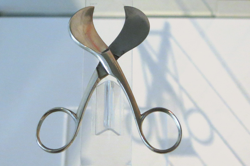 Illustration for article titled The Extraordinary Evolution of Scissors